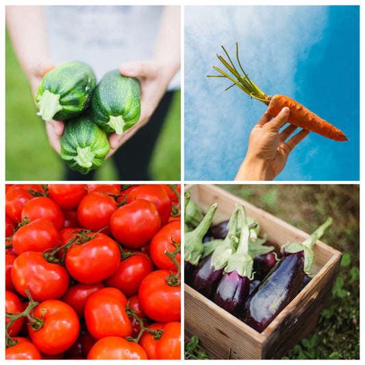 From Farm to Trail: How SPhiker Supports Local Farmers
