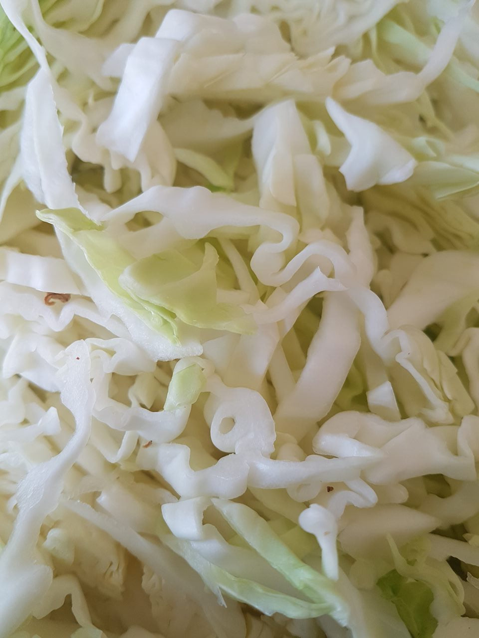 Dehydrated Cabbage for Hiking meals image 0