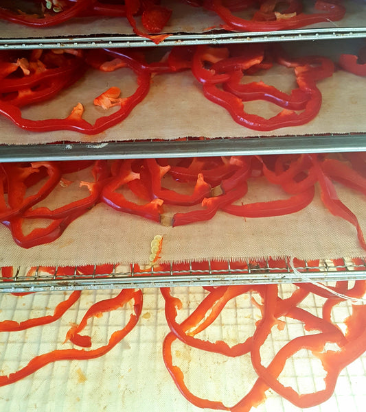 10 Effective Ways to Dehydrate and Store Home Grown Produce