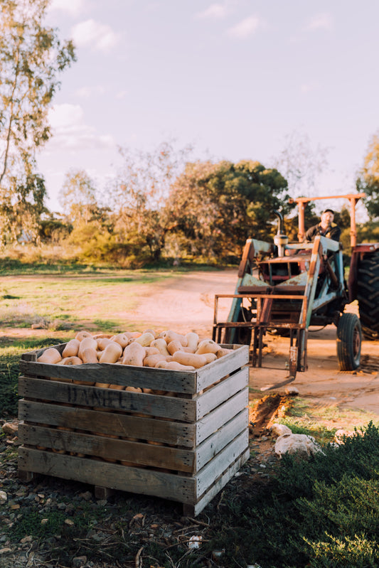 From Gate to Plate: How SPhiker Meals Support Local Farmers and Rural Communities