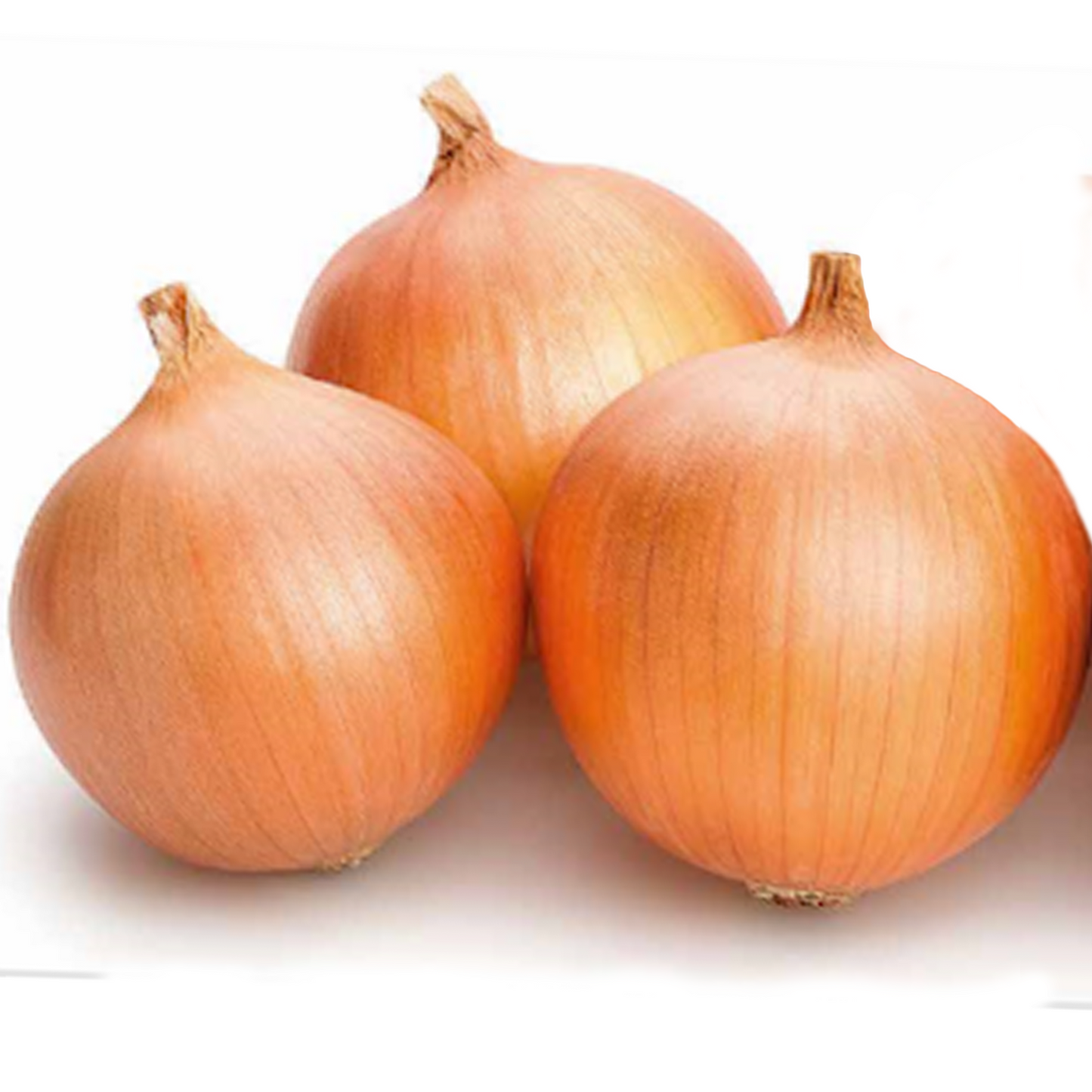 Dehydrated Onion