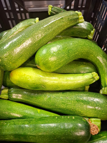 Dehydrated Zucchini for Hiking Meals. image 0